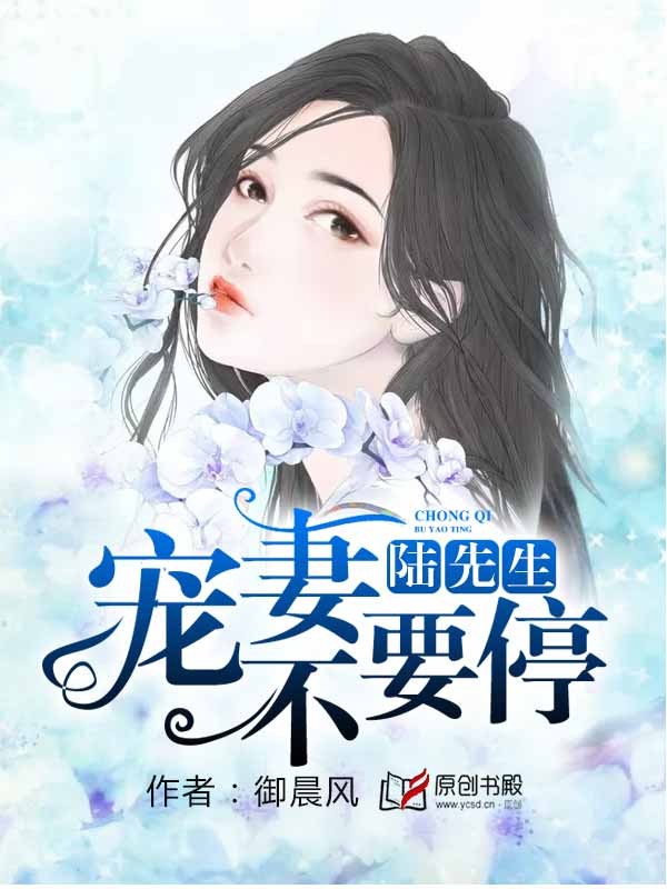 陆先生：宠妻百分百！章节列表