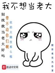我不想当老大章节列表