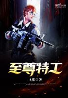 至尊特工章节列表