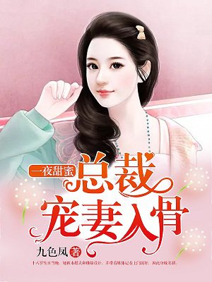 一夜甜蜜：总裁宠妻入骨章节列表