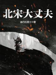 北宋大丈夫章节列表