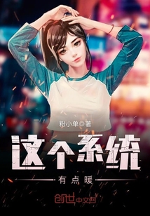 这个系统有点暖章节列表