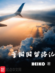 董锵锵留德记章节列表