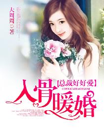 不眠之夜章节列表