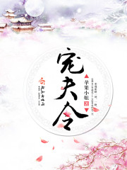 宠夫令章节列表