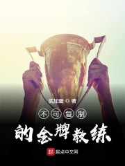 不可复制的金牌教练章节列表