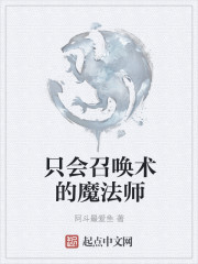 只会召唤术的魔法师章节列表
