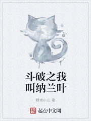 斗破之我叫纳兰叶章节列表