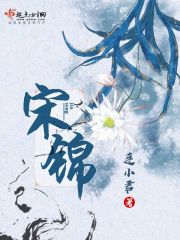 宋锦章节列表