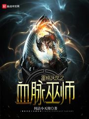 霍格沃茨之血脉巫师章节列表