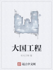 大国工程章节列表