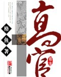 高官章节列表