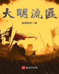 大明流匪章节列表