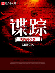 谍踪章节列表