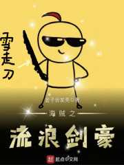 海贼之流浪剑豪章节列表