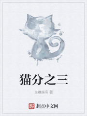 猫分之三章节列表