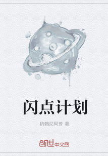 闪点计划章节列表