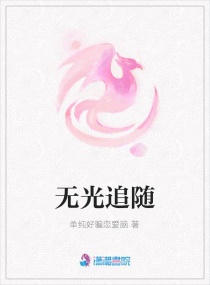 无光追随章节列表