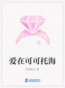 爱在可可托海章节列表