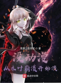 没动漫，从木叶崩溃开始演章节列表