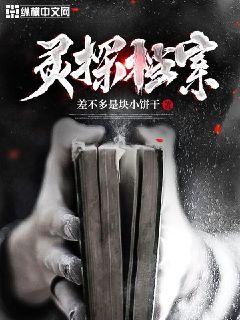 灵探档案章节列表