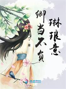 卿当不负琳琅意章节列表