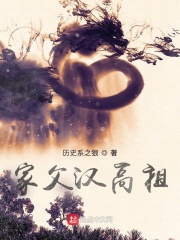 家父汉高祖章节列表