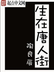生在唐人街章节列表