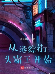 从港综街头霸王开始章节列表