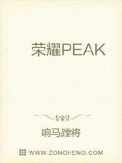 荣耀PEAK章节列表
