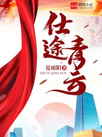 仕途青云章节列表