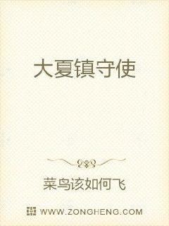 大夏镇守使章节列表
