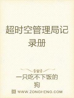 超时空管理局记录册章节列表