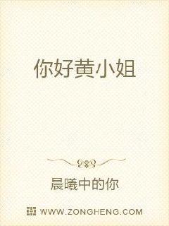 你好黄小姐章节列表