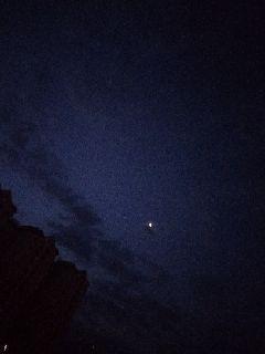 一点蓝章节列表
