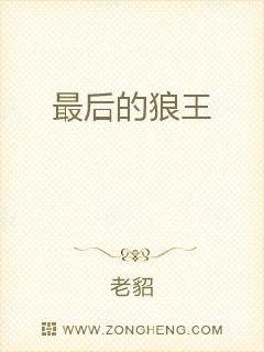 最后的狼王章节列表