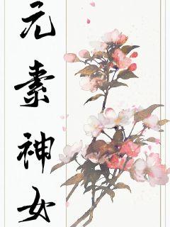 元素神女章节列表