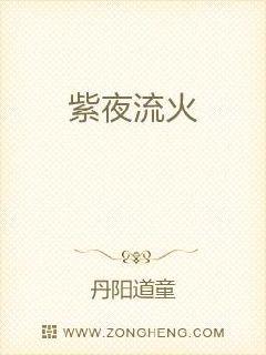 紫夜流火章节列表