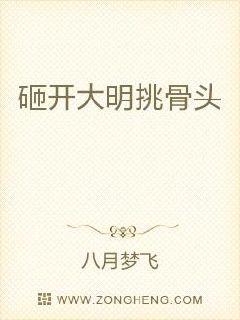 砸开大明挑骨头章节列表
