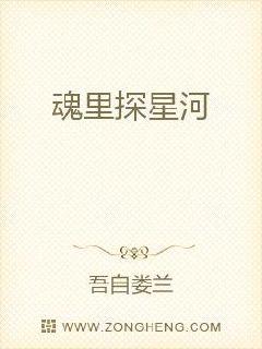 魂里探星河章节列表
