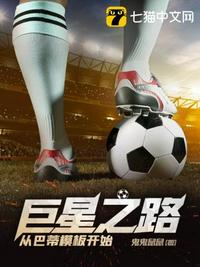 巨星之路从巴蒂模板开始章节列表