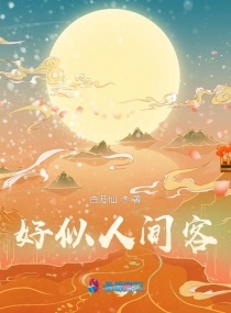 好似人间客章节列表
