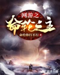 网游之命轮之主章节列表