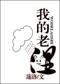 我的老师章节列表