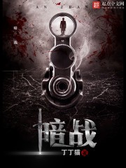 暗战章节列表