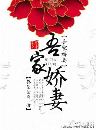 吾家娇妻章节列表