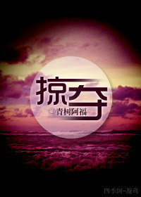 掠夺章节列表
