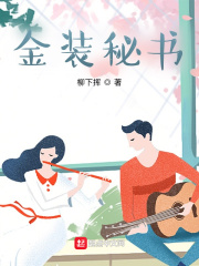 金装秘书章节列表