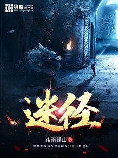 迷径章节列表