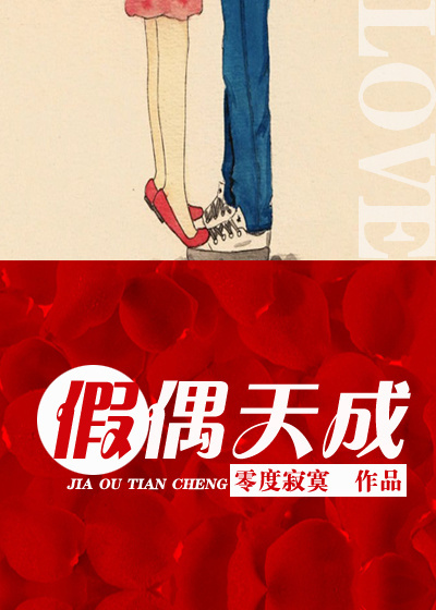 假偶天成章节列表